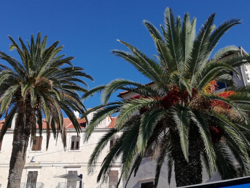 IMG_20180904_161545 — kopia.jpg