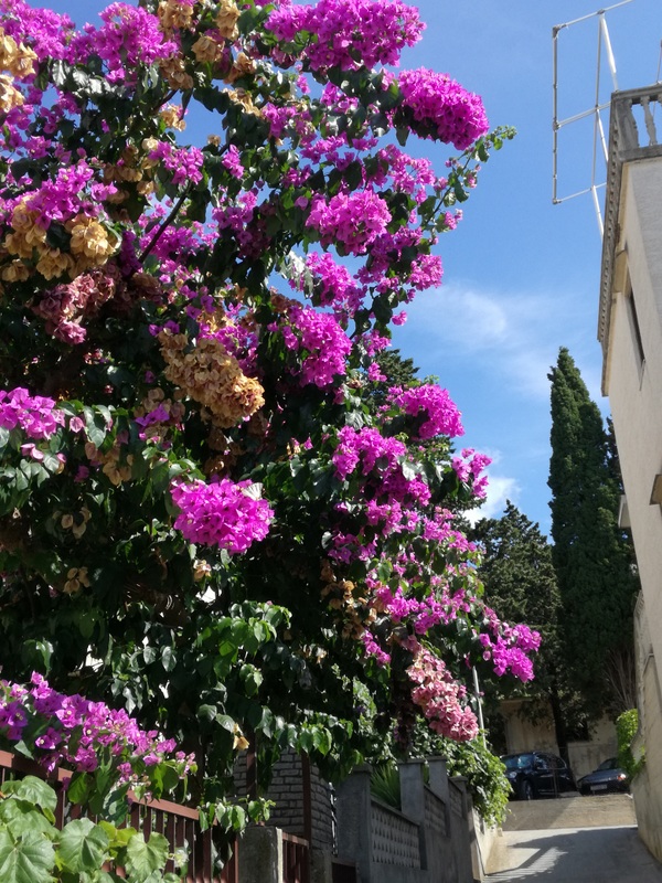 IMG_20180902_102822 — kopia.jpg