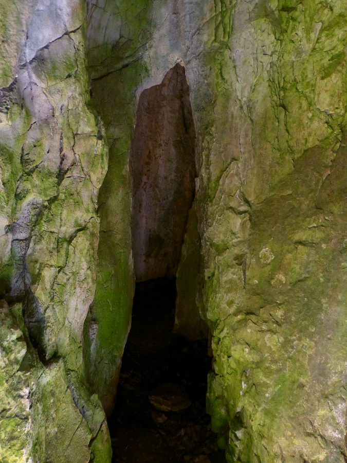 P1040823.JPG