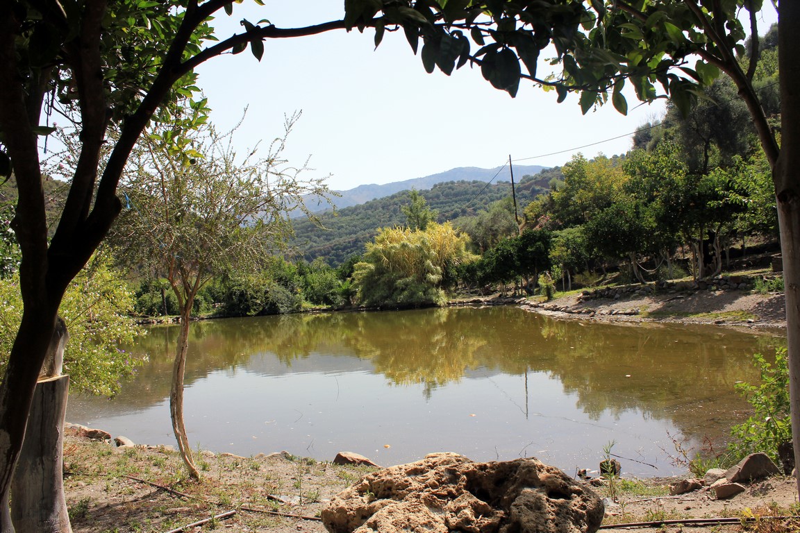 IMG_6312 (Kopiowanie).JPG