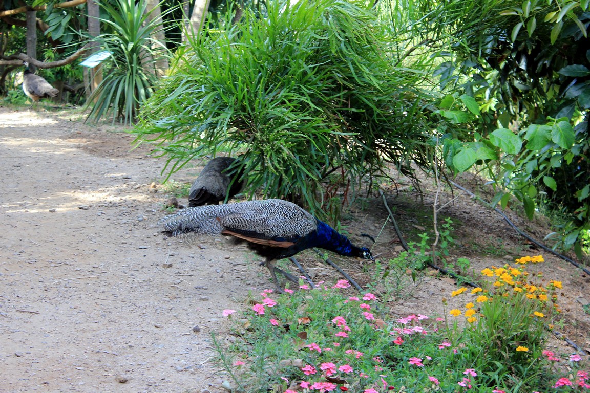 IMG_6231 (Kopiowanie).JPG