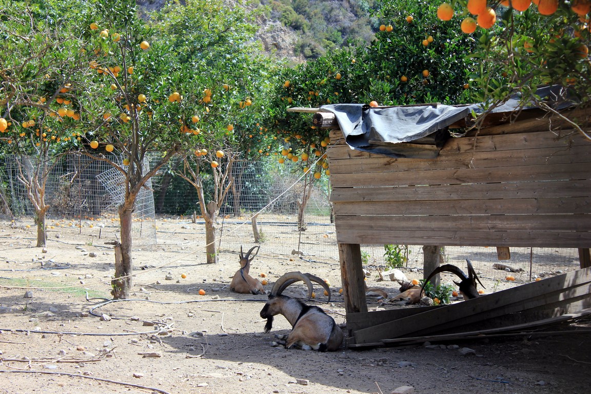 IMG_6322 (Kopiowanie).JPG