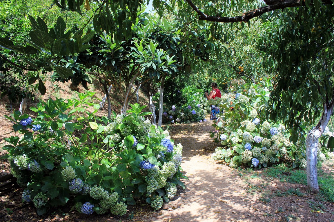 IMG_6336 (Kopiowanie).JPG