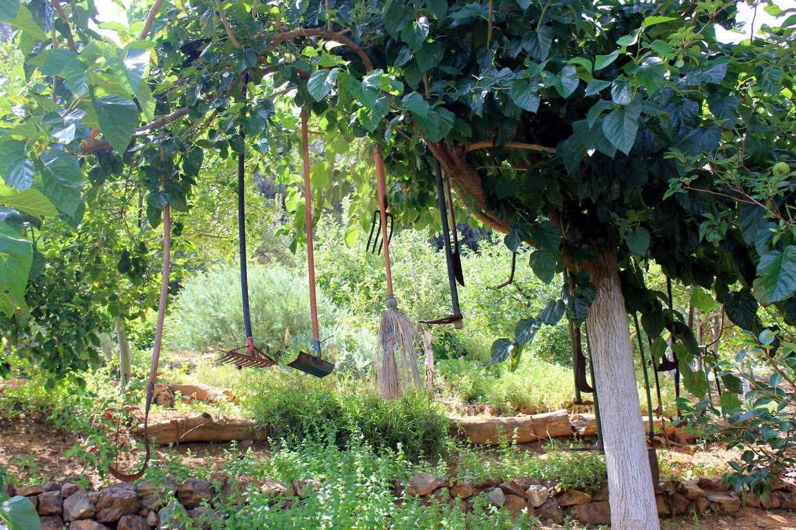 IMG_6339 (Kopiowanie).JPG