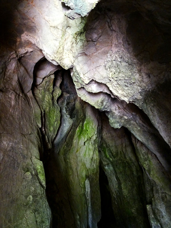 DSC05866.JPG