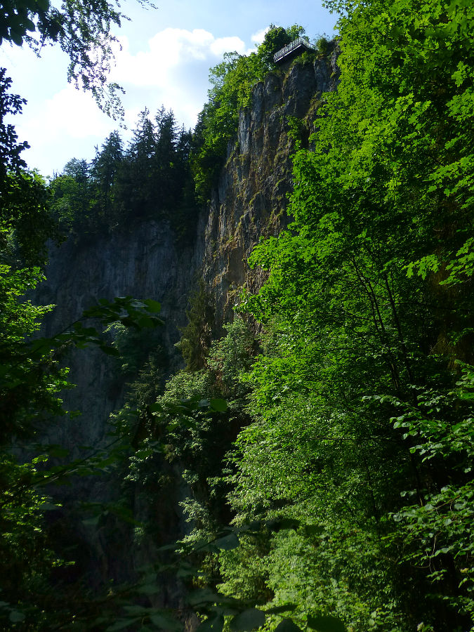 P1040846.JPG