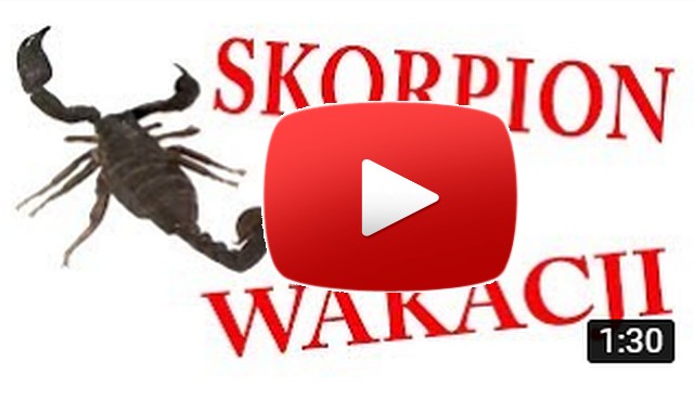 skorpion_youtube.jpg