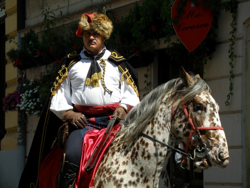 2015-08-02-12h09m21 (Custom).jpg