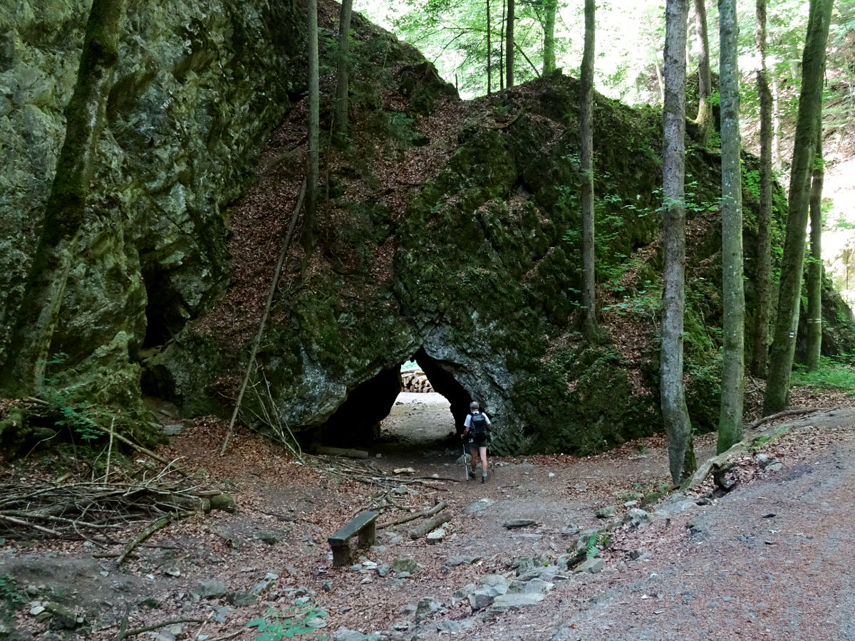 DSC05890.JPG