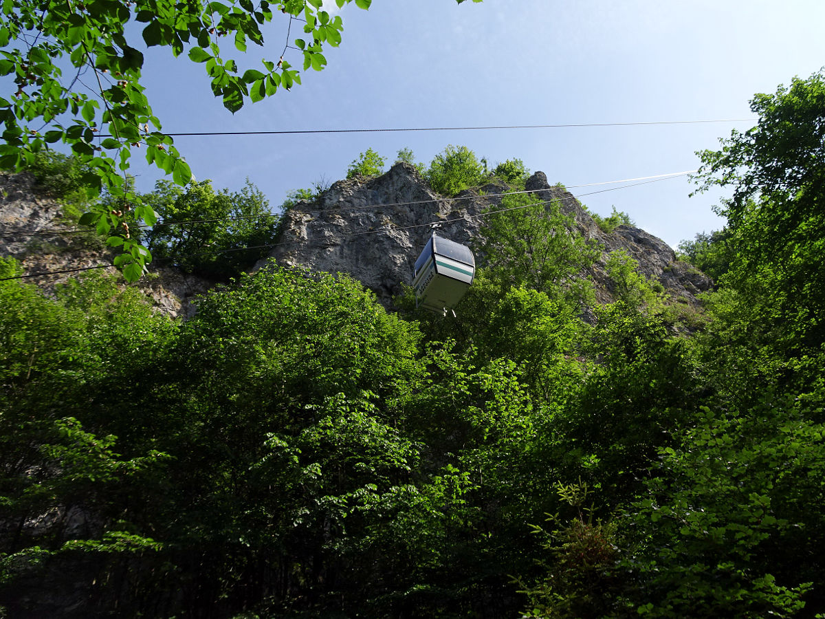 DSC05898.JPG