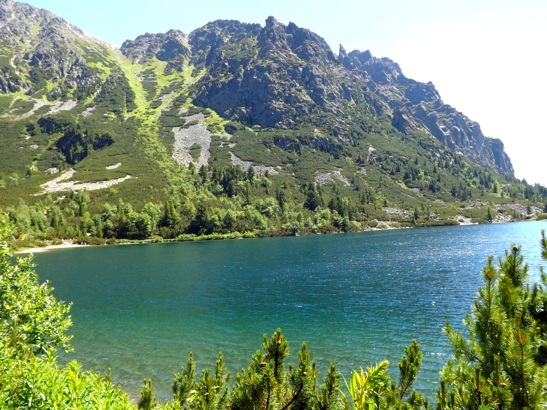 DSCF1222.JPG
