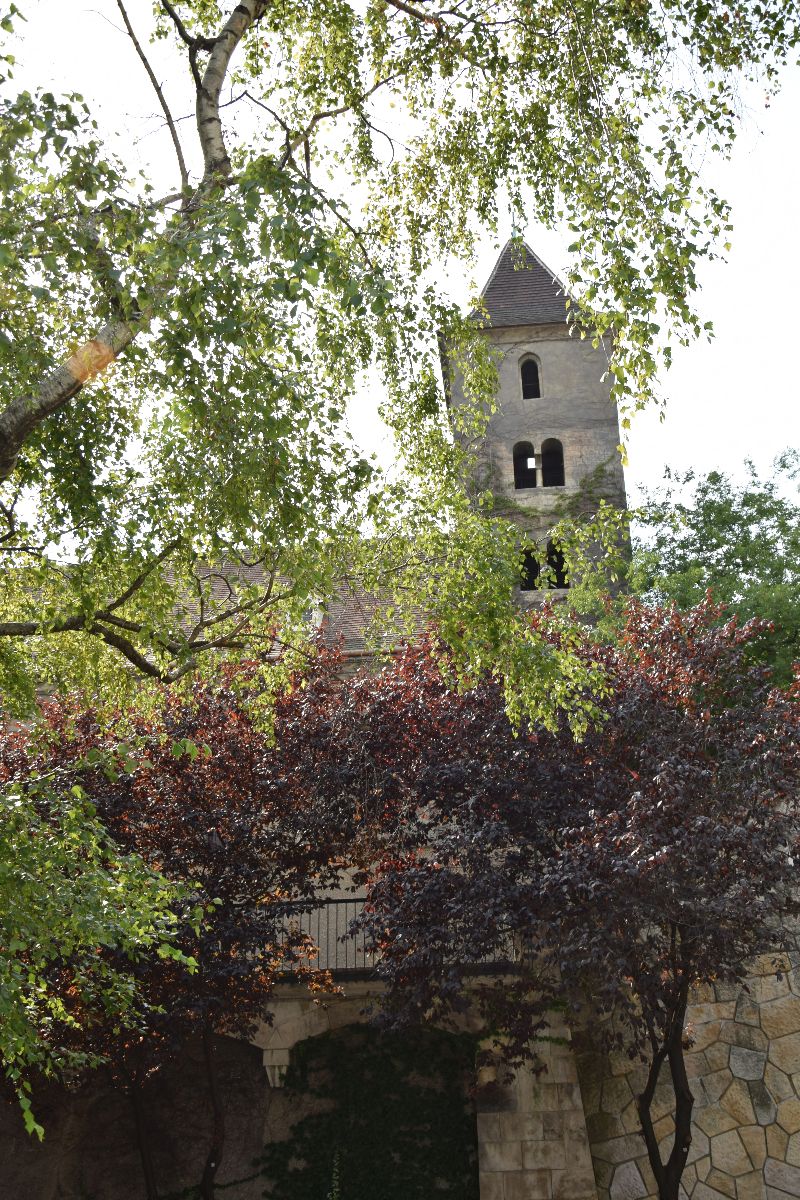 DSC_0155.jpg