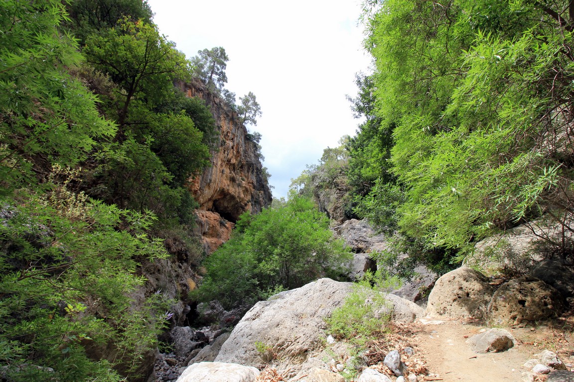 IMG_4853 (Kopiowanie).JPG