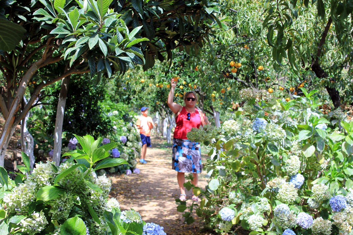 IMG_6334 (Kopiowanie).JPG