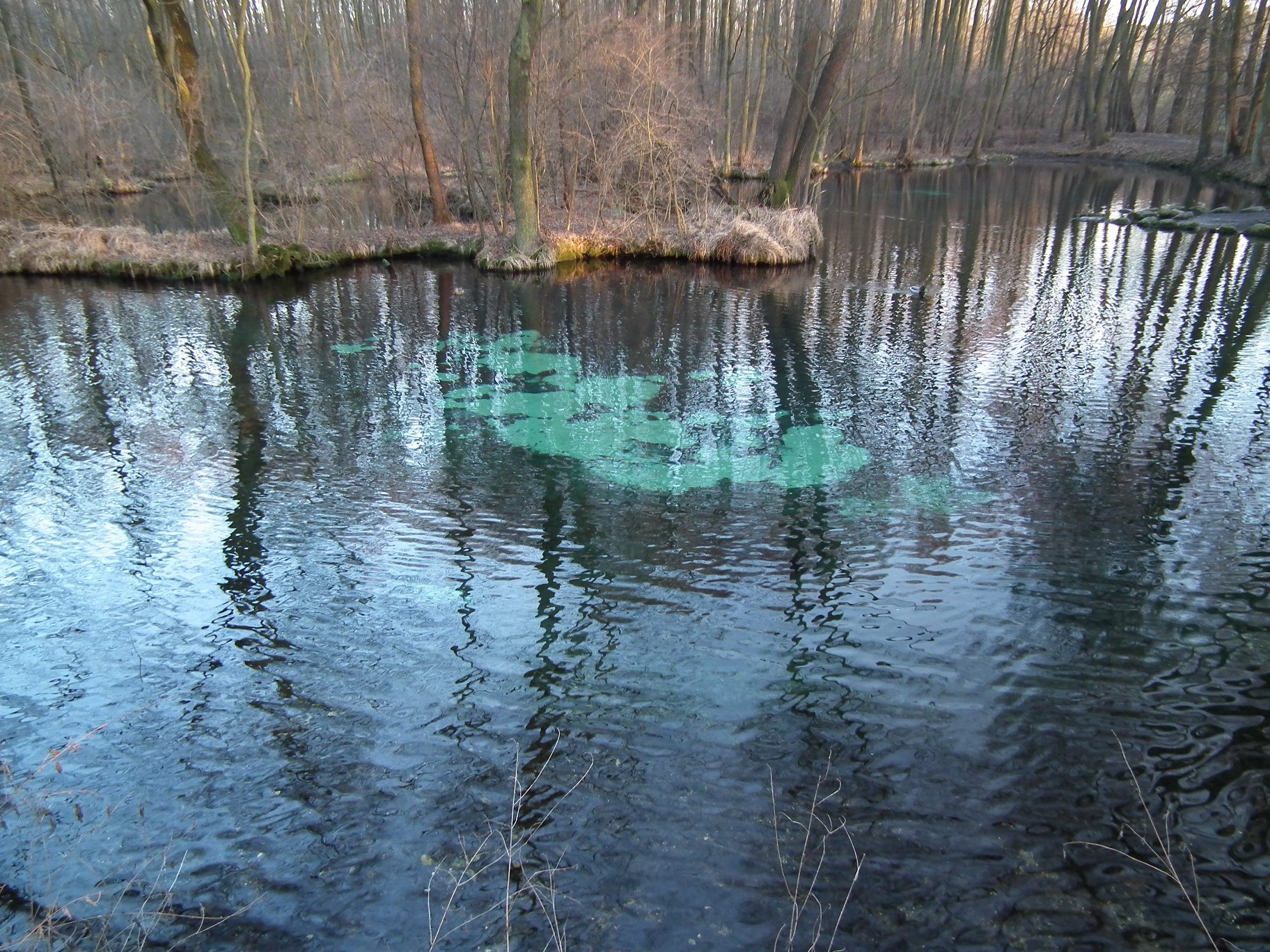 tomaszów2.JPG