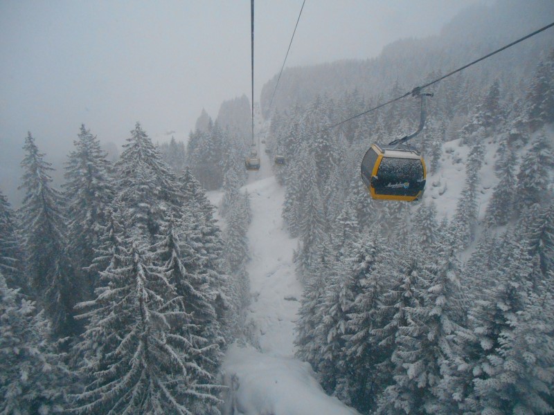 2019-02-11-08h16m04 (Custom).JPG