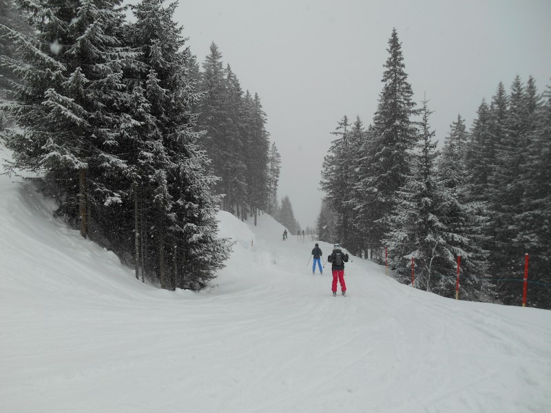 2019-02-11-10h39m42 (Custom).JPG