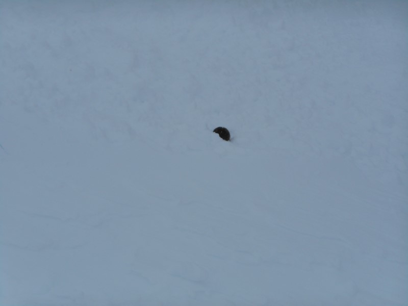 2019-02-11-14h31m02 (Custom).JPG