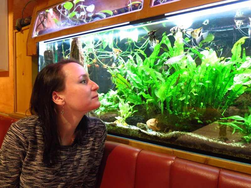 2019-02-11-17h17m12 (Custom).JPG