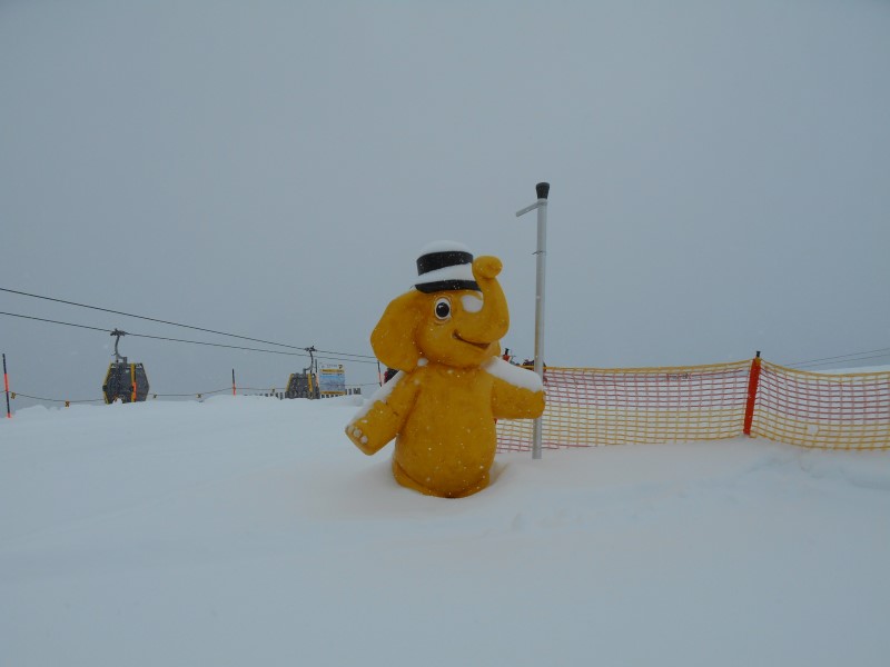 2019-02-12-08h53m03 (Custom).JPG