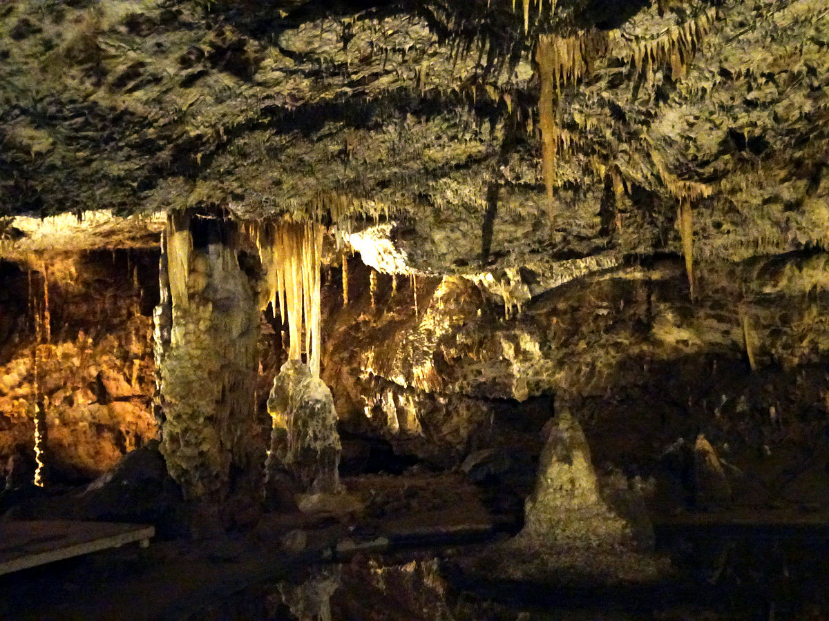DSC05914.JPG