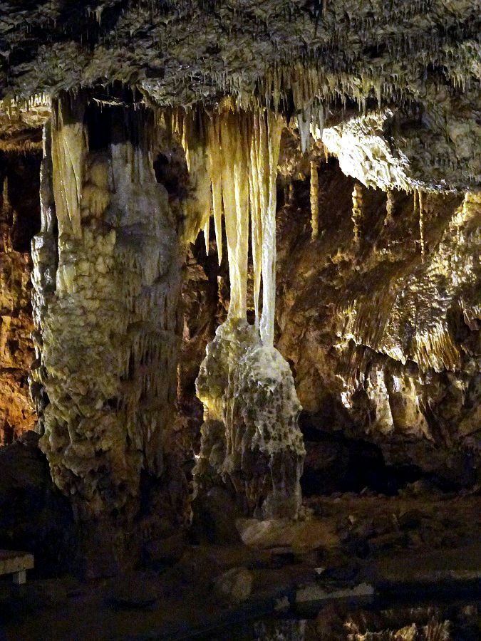 DSC05916.JPG