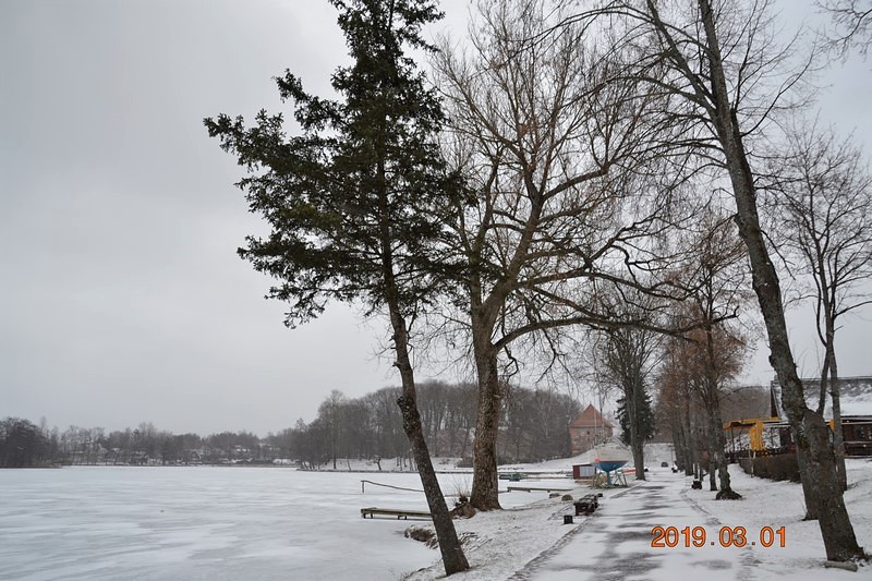 DSC_0186 (Kopiowanie).JPG