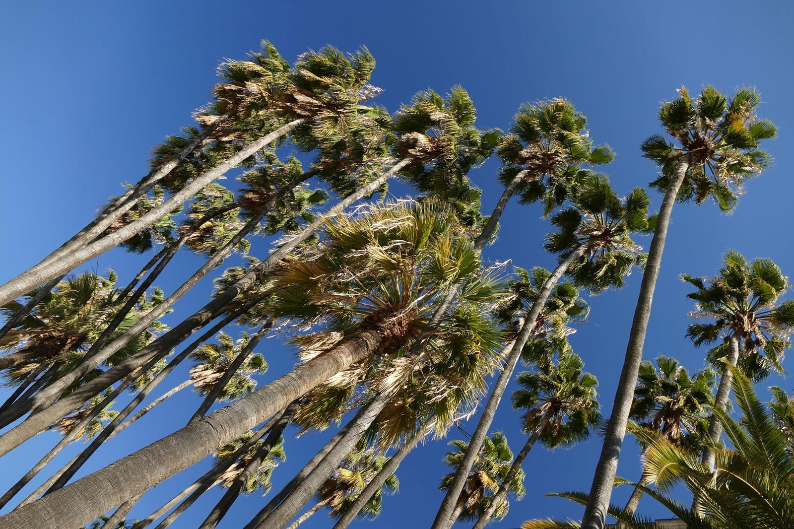 P1030017 (Copy) (2).jpg