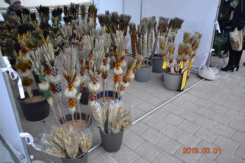 DSC_0383 (Kopiowanie).JPG