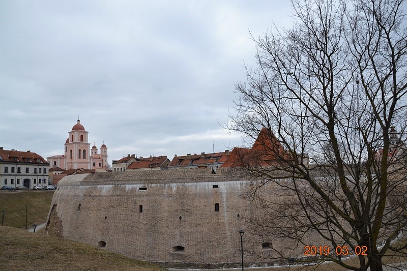 DSC_0437 (Kopiowanie).JPG