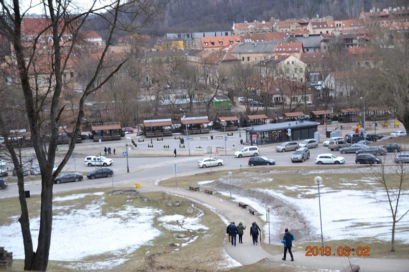 DSC_0447 (Kopiowanie).JPG