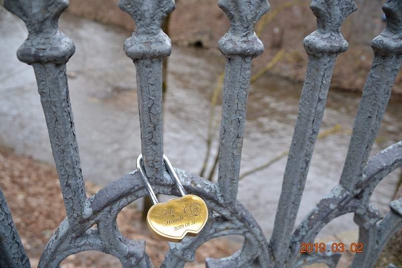 DSC_0500 (Kopiowanie).JPG