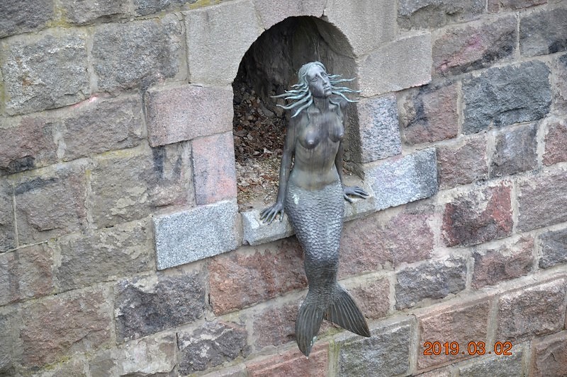 DSC_0545 (Kopiowanie).JPG