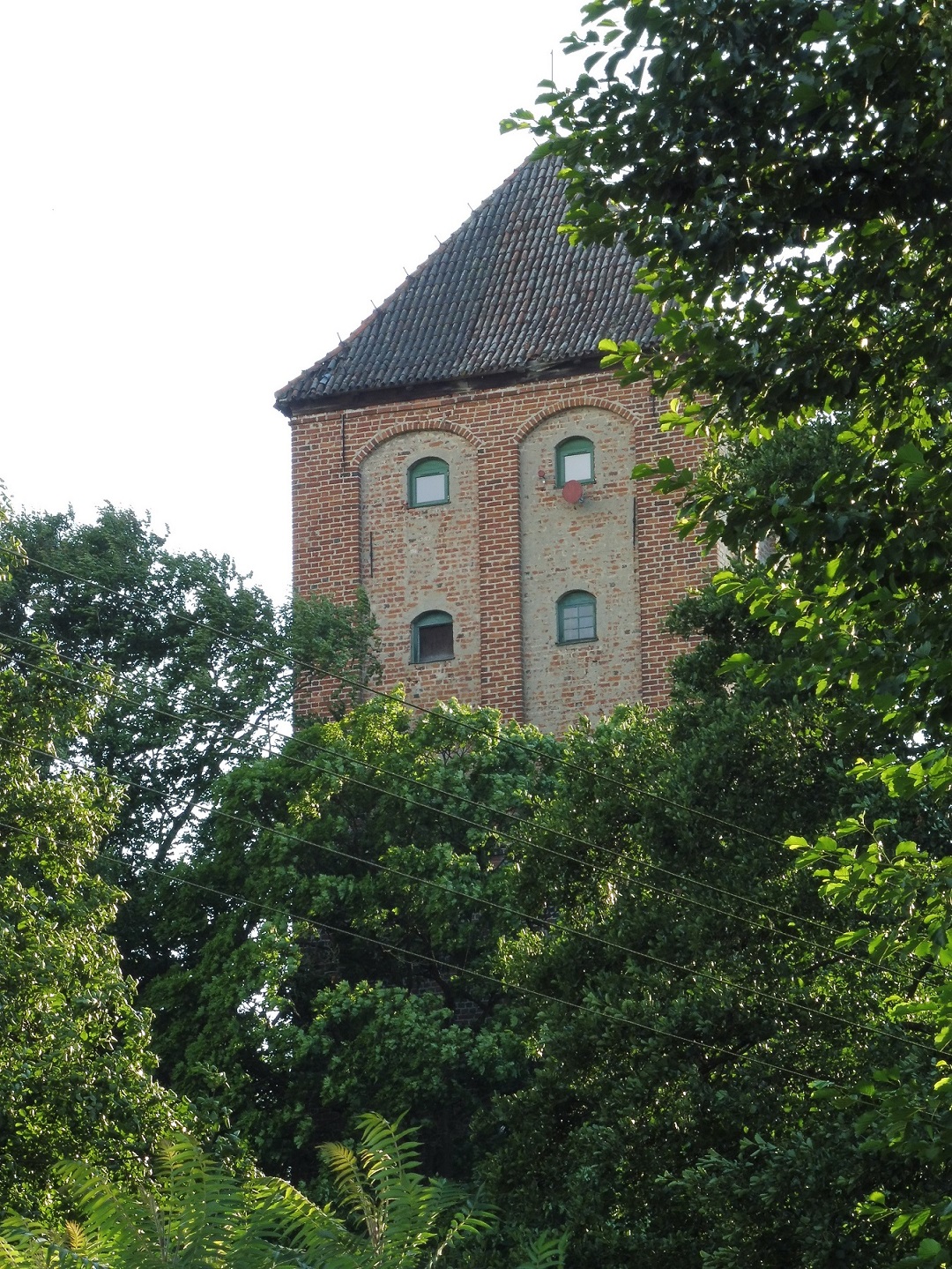 P1080565-2.jpg