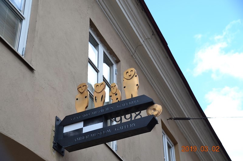 DSC_0610 (Kopiowanie).JPG