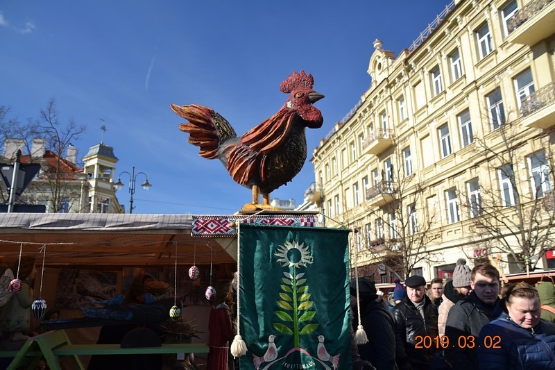 DSC_0694 (Kopiowanie).JPG