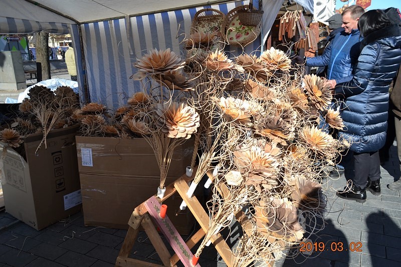 DSC_0703 (Kopiowanie).JPG