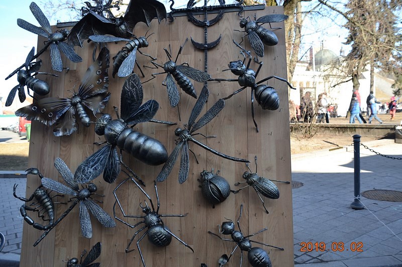 DSC_0706 (Kopiowanie).JPG