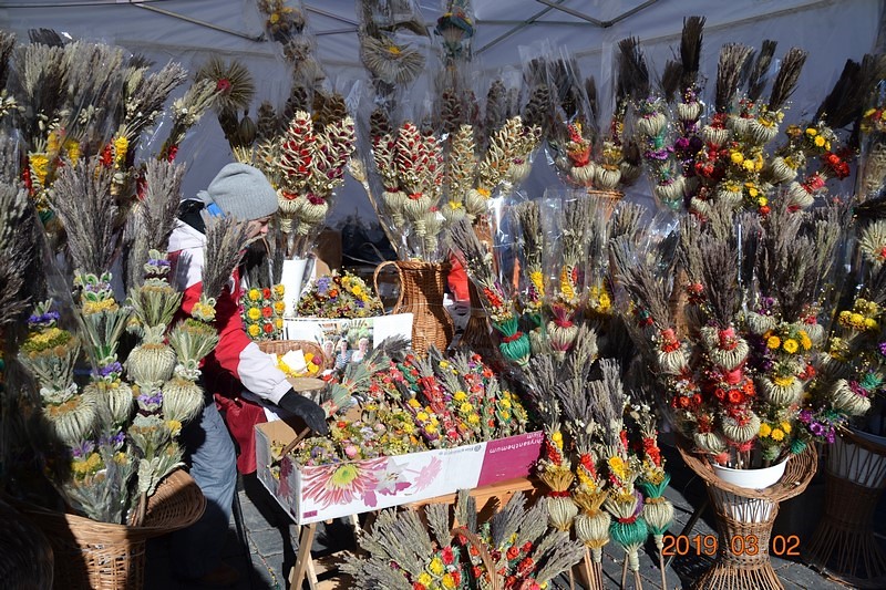 DSC_0708 (Kopiowanie).JPG