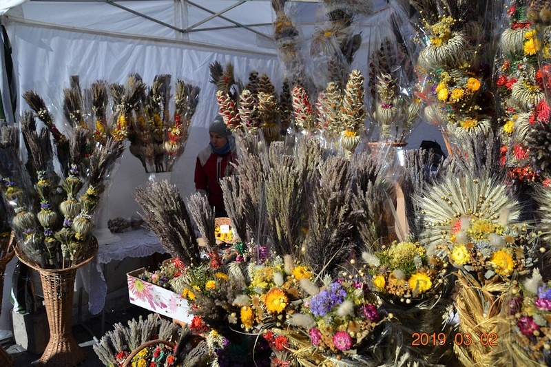 DSC_0709 (Kopiowanie).JPG