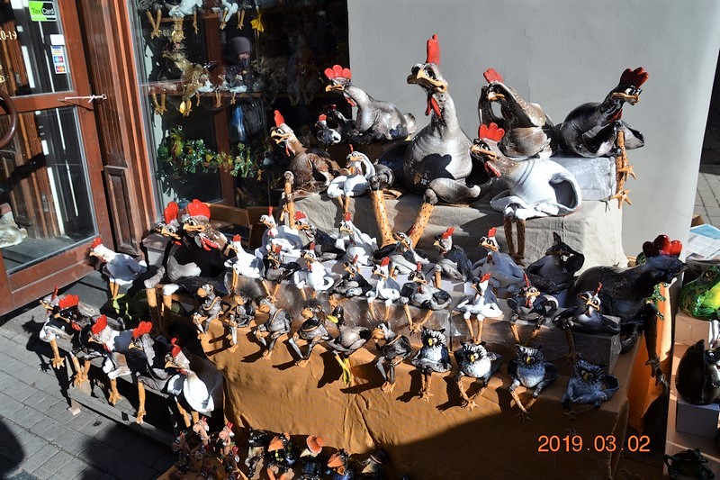 DSC_0730 (Kopiowanie).JPG