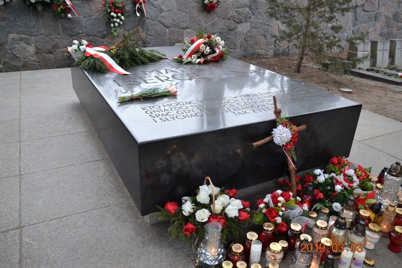 DSC_0817 (Kopiowanie).JPG