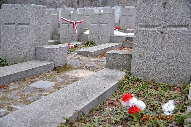 DSC_0812 (Kopiowanie).JPG