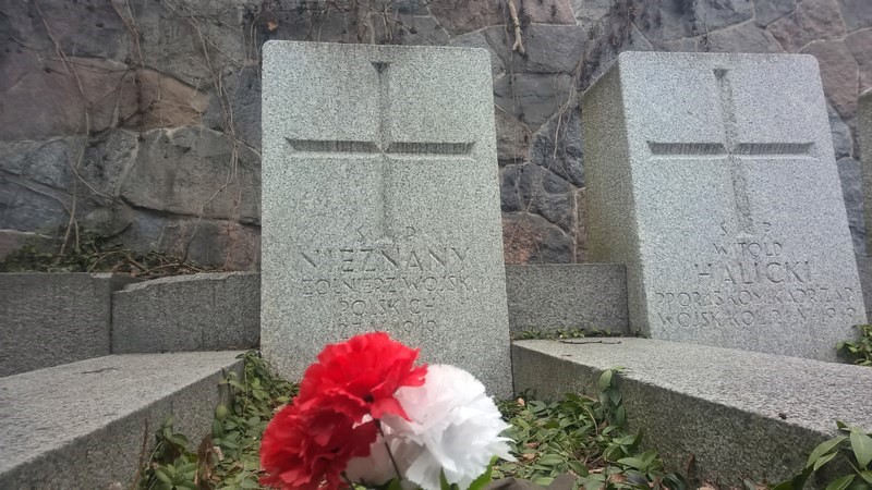 DSC_0814a (Kopiowanie).jpg