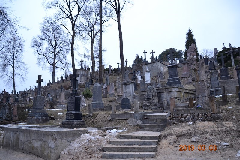 DSC_0823 (Kopiowanie).JPG