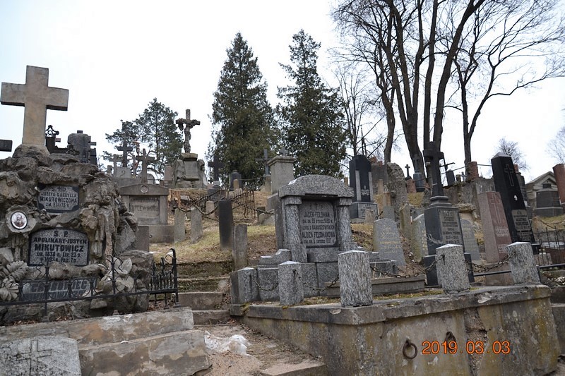 DSC_0825 (Kopiowanie).JPG