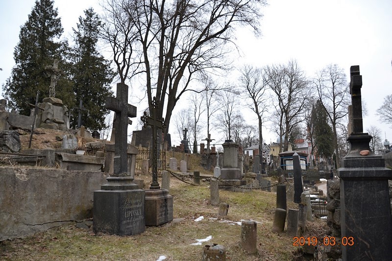 DSC_0827 (Kopiowanie).JPG