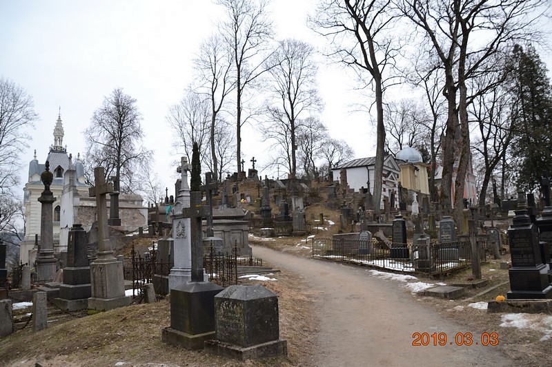 DSC_0832 (Kopiowanie).JPG