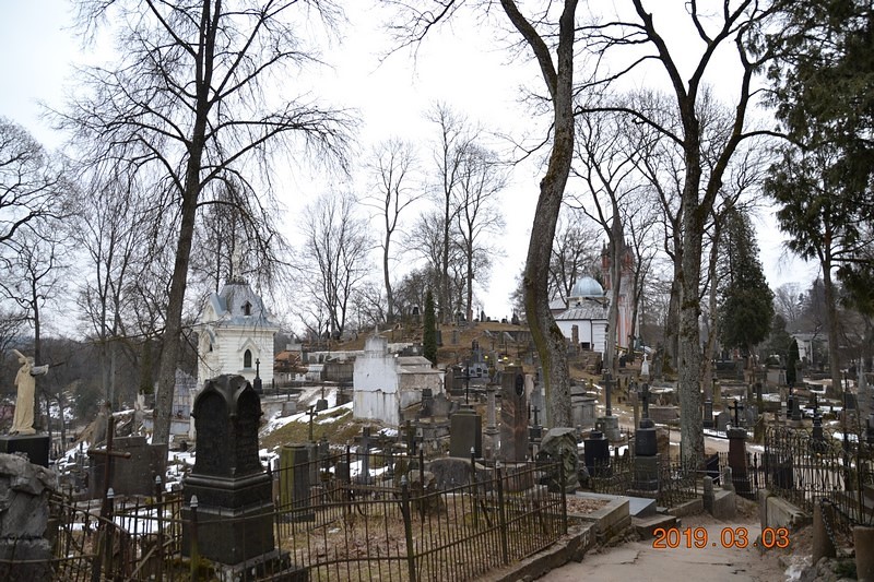 DSC_0834 (Kopiowanie).JPG