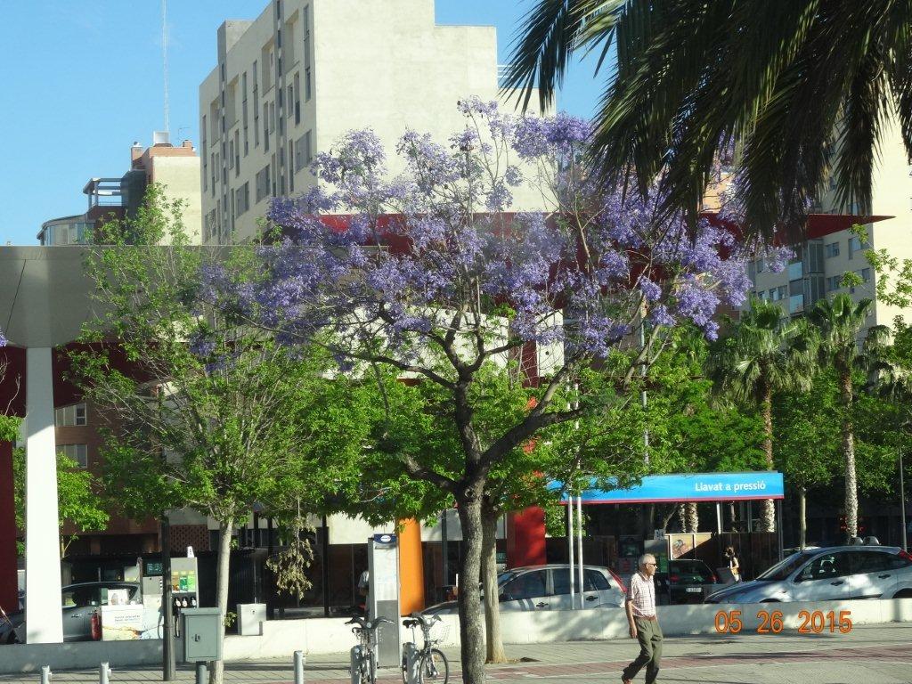 Podbój Iberii cz. II 367.jpg